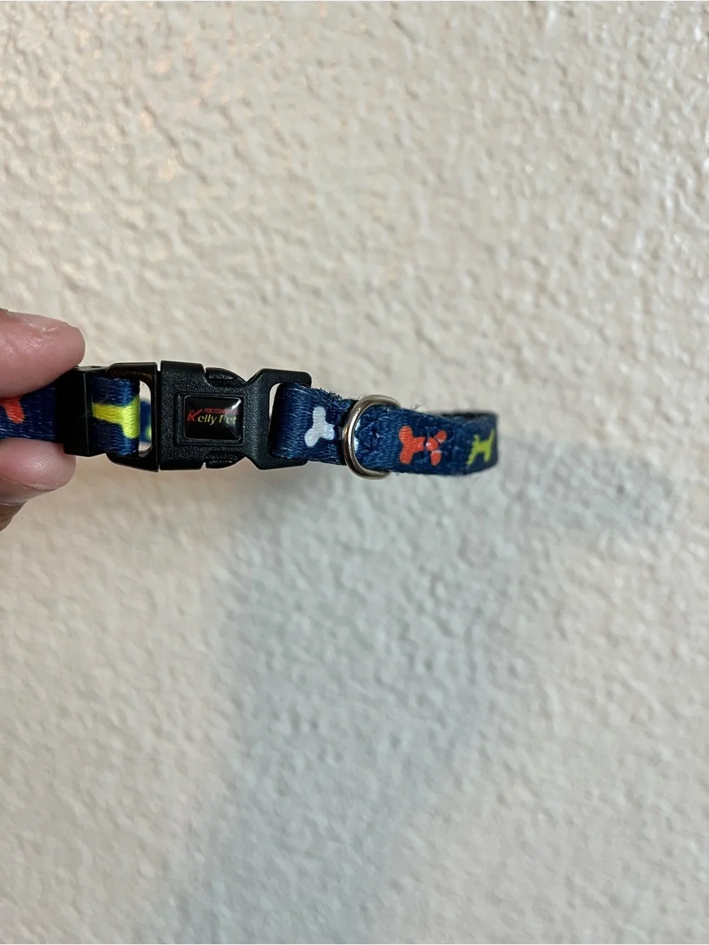 Small Dog Collar and Leash